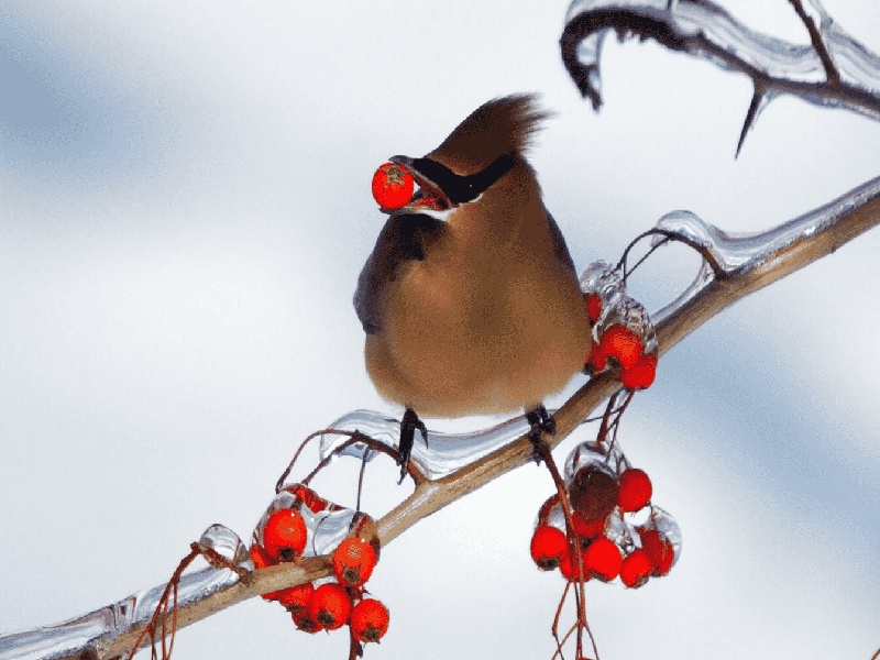 权威的试管面膜，试管备孕运动