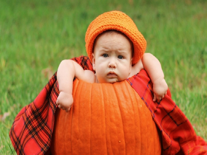 宝马喷油嘴 试管，试管全流程明细